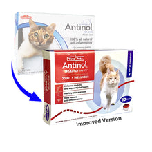 Load image into Gallery viewer, Antinol® RAPID Joint Supplement for Cats (60 Softgels)
