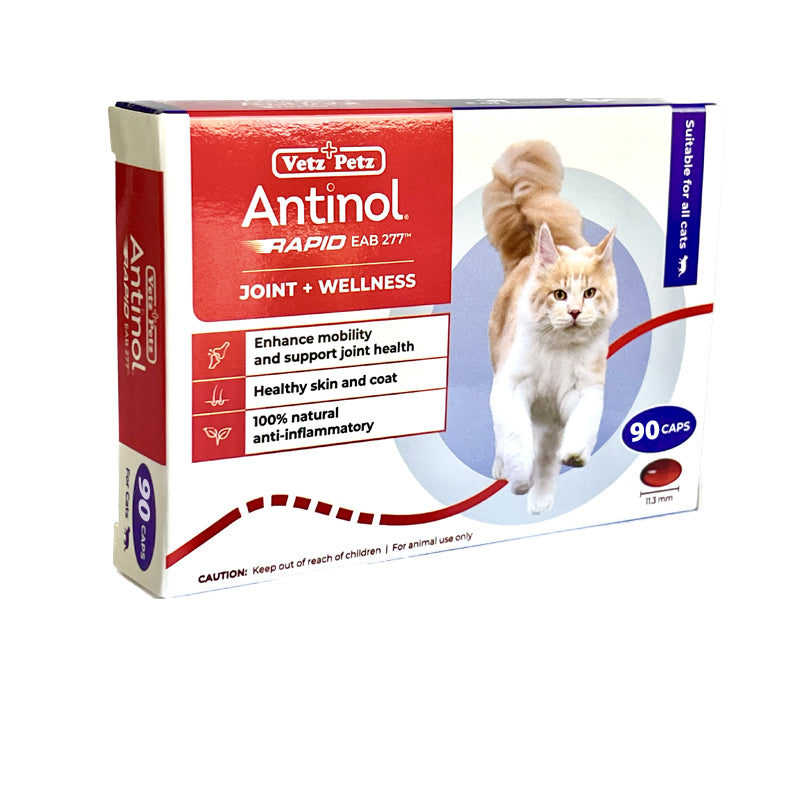 Antinol® RAPID Joint Supplement for Cats (90 Softgels)