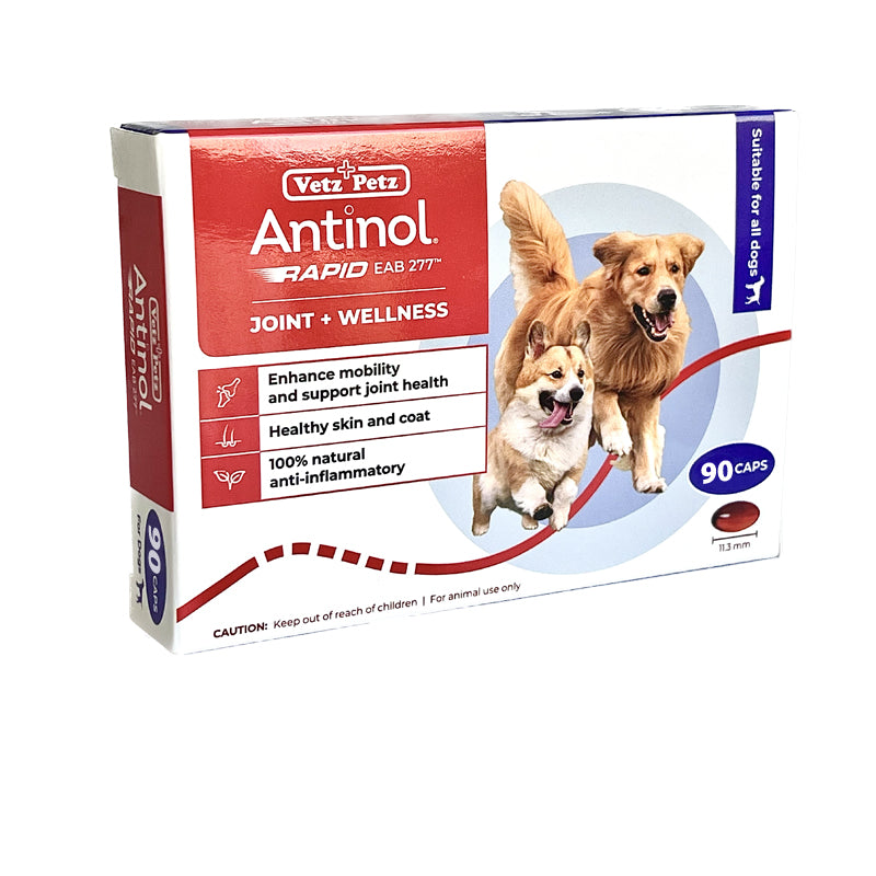 Antinol 2024 for cats